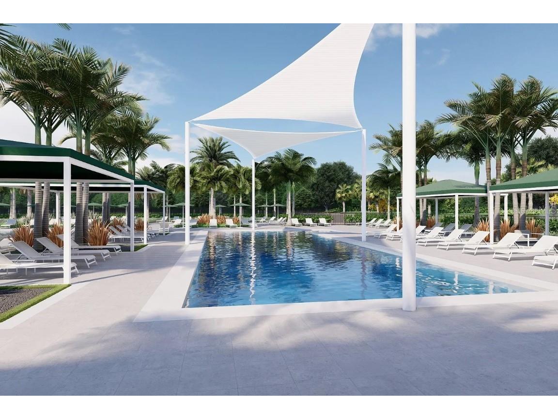 32523 Neroli Street Wesley Chapel FL 33543 TB8384851 image46