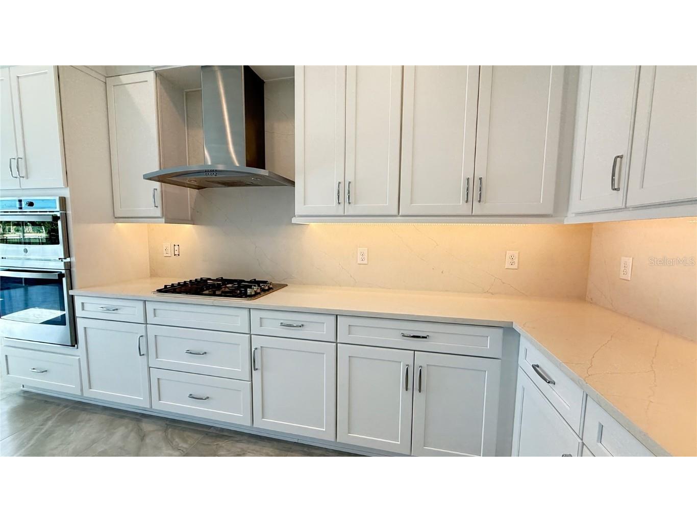 32523 Neroli Street Wesley Chapel FL 33543 TB8384851 image8