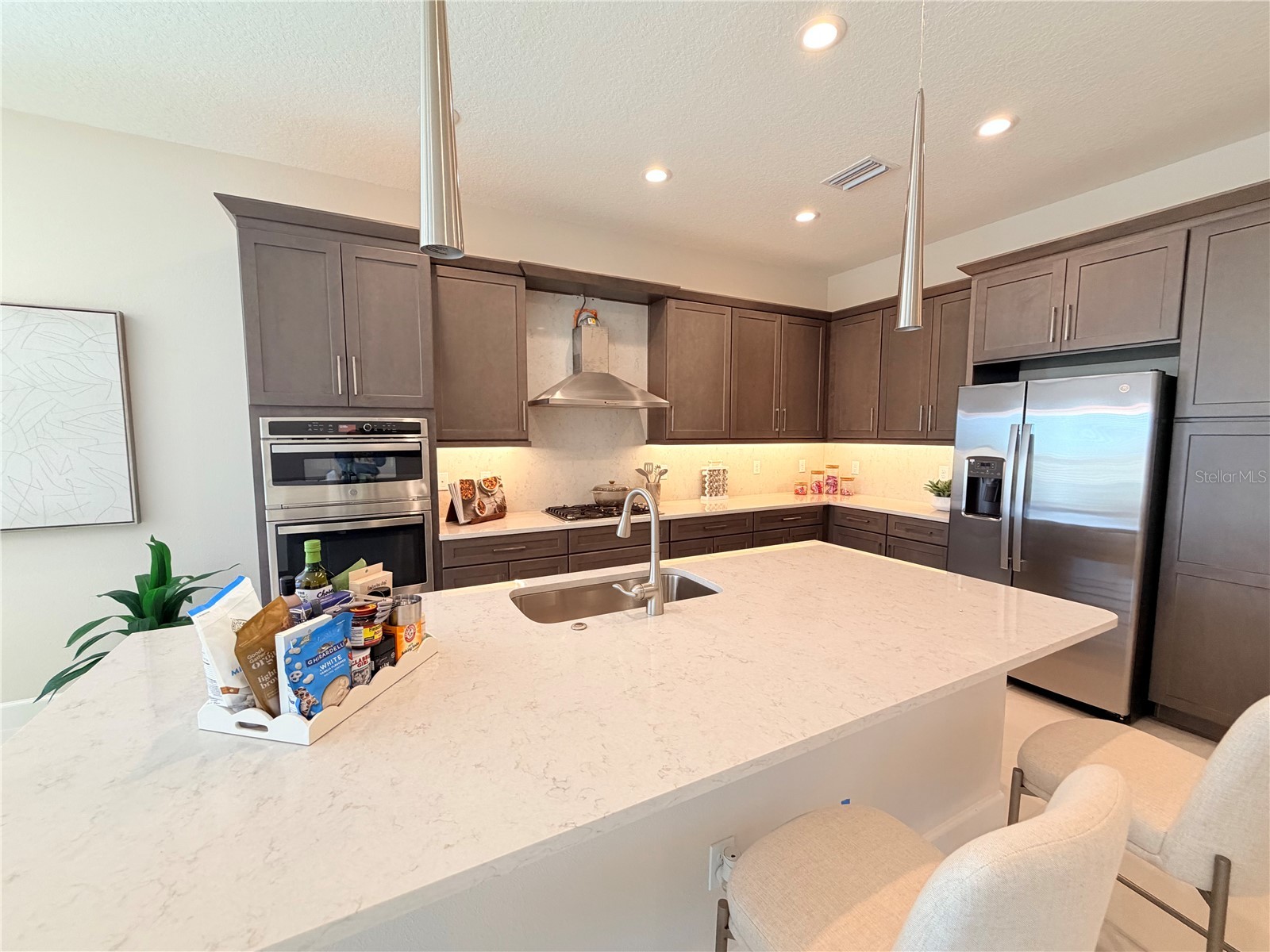 32700 Neroli Street Wesley Chapel FL 33543 TB8476942 image9