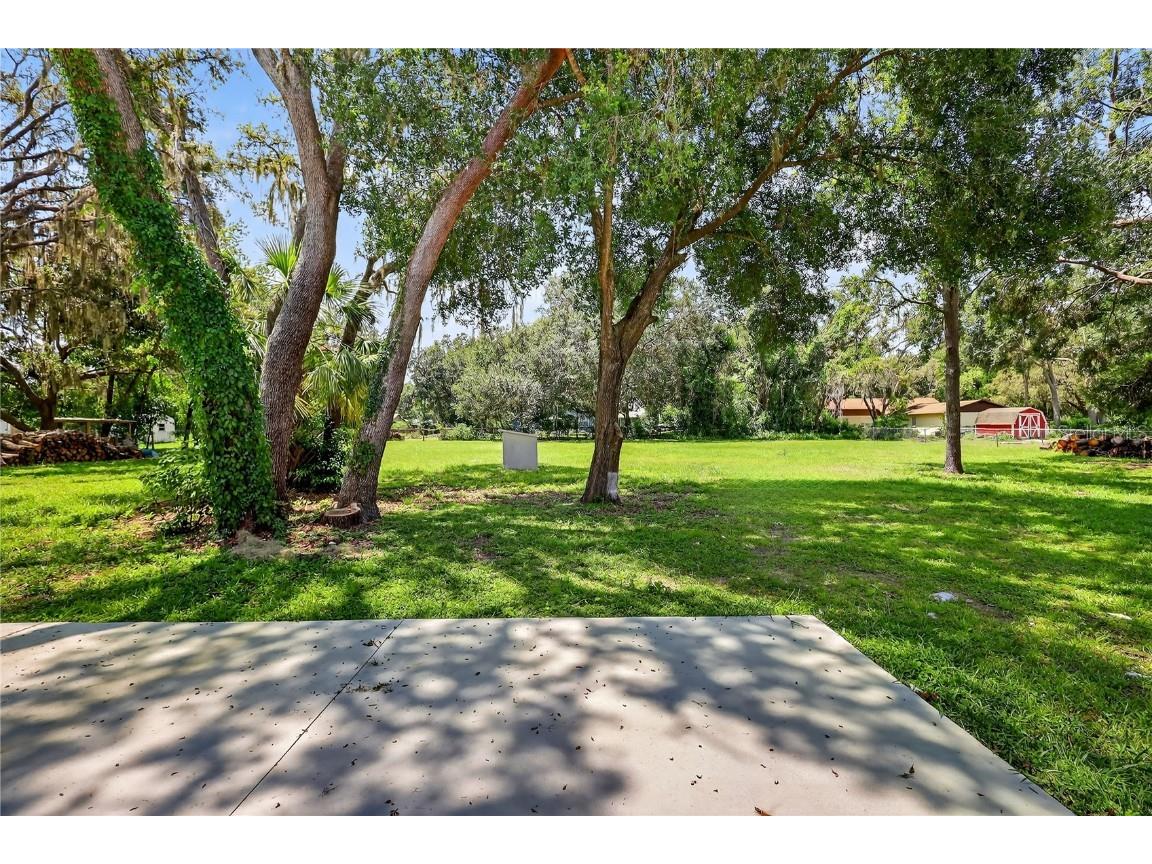 32524 Greenwood Loop Wesley Chapel FL 33545 TB8412963 image15