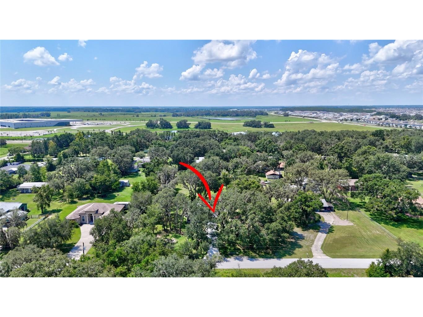 32524 Greenwood Loop Wesley Chapel FL 33545 TB8412963 image16