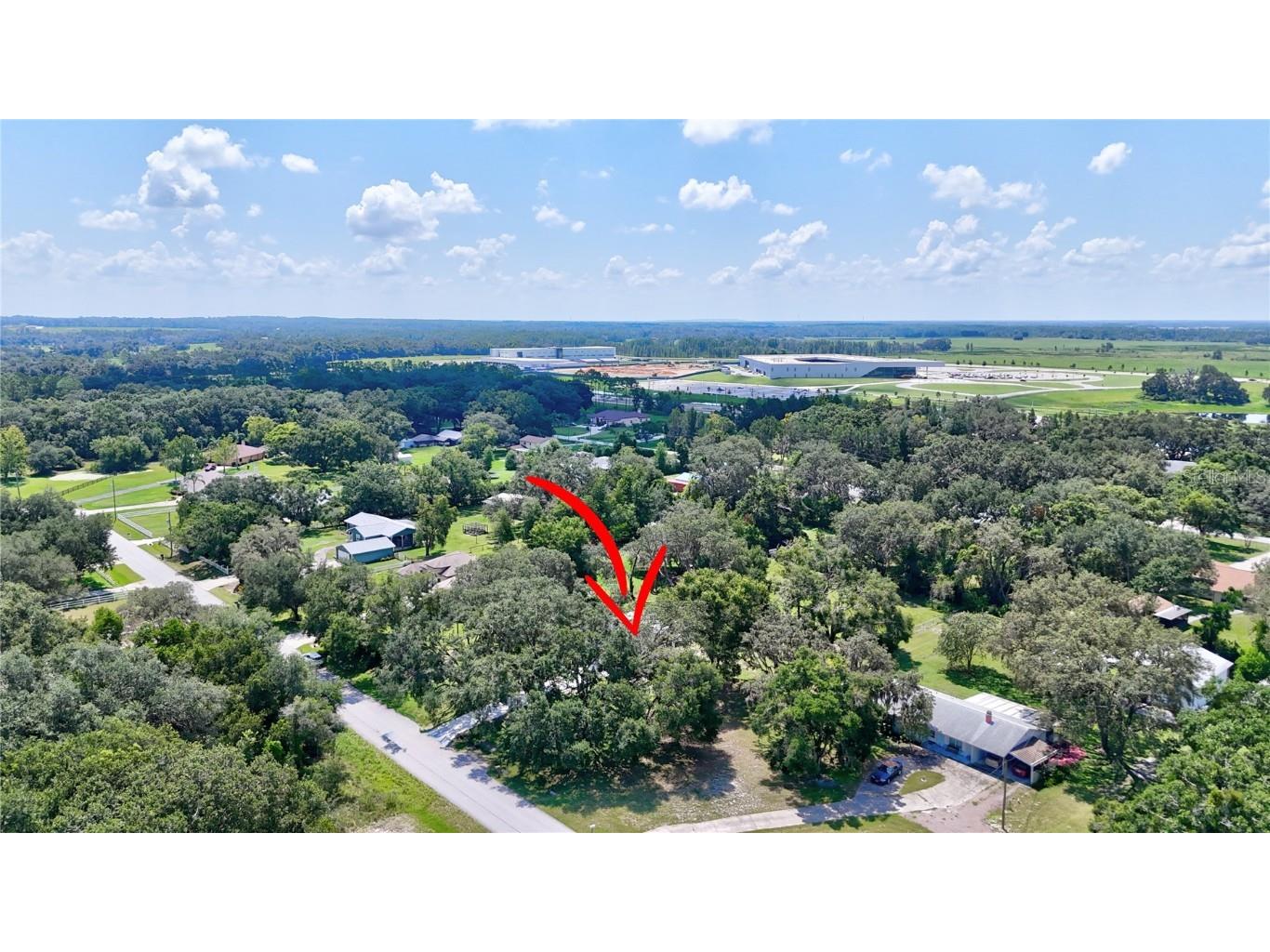 32524 Greenwood Loop Wesley Chapel FL 33545 TB8412963 image18