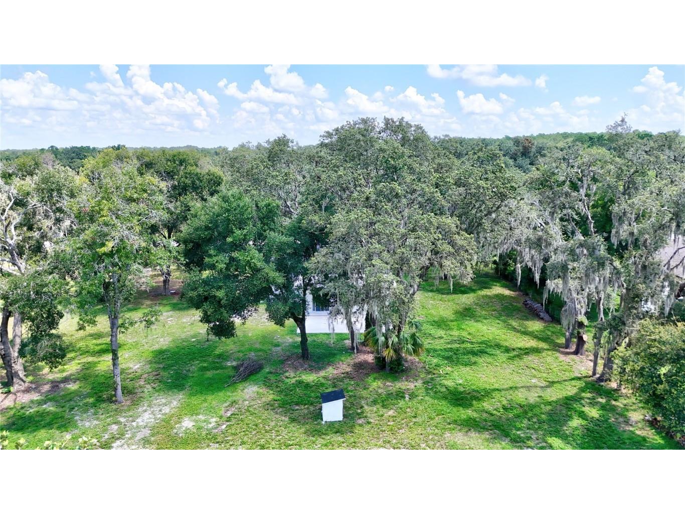 32524 Greenwood Loop Wesley Chapel FL 33545 TB8412963 image24