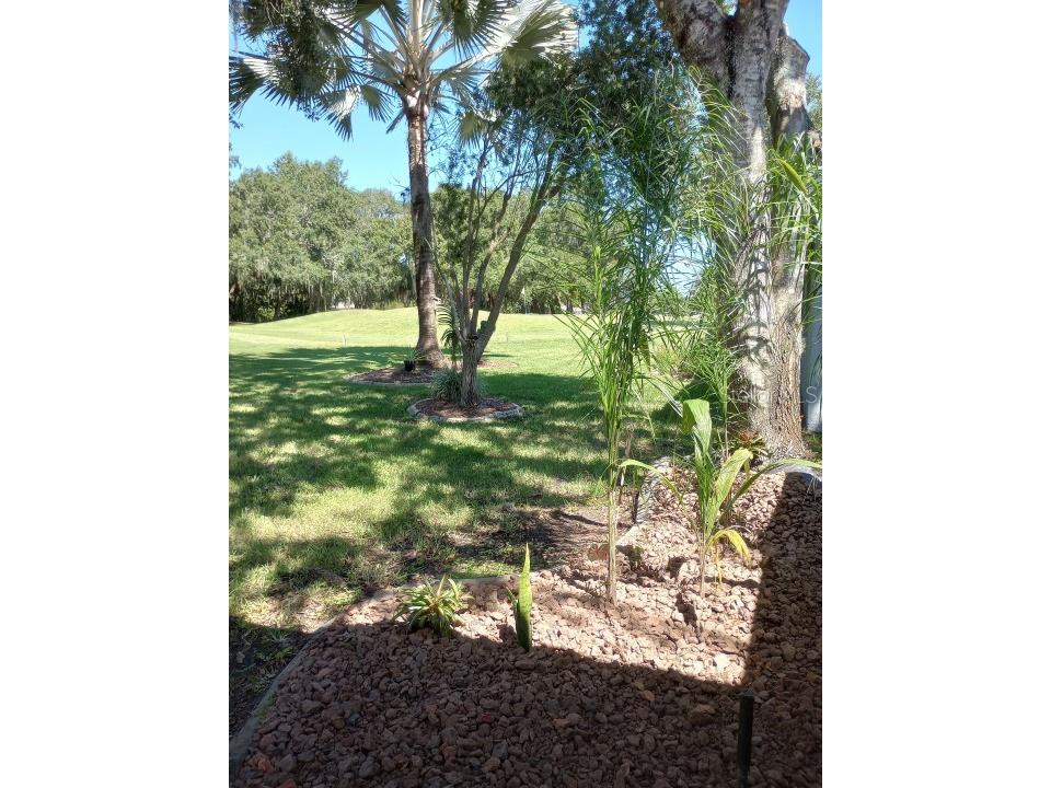 32525 Oak Park Drive Leesburg FL 34748 O6199095 image16