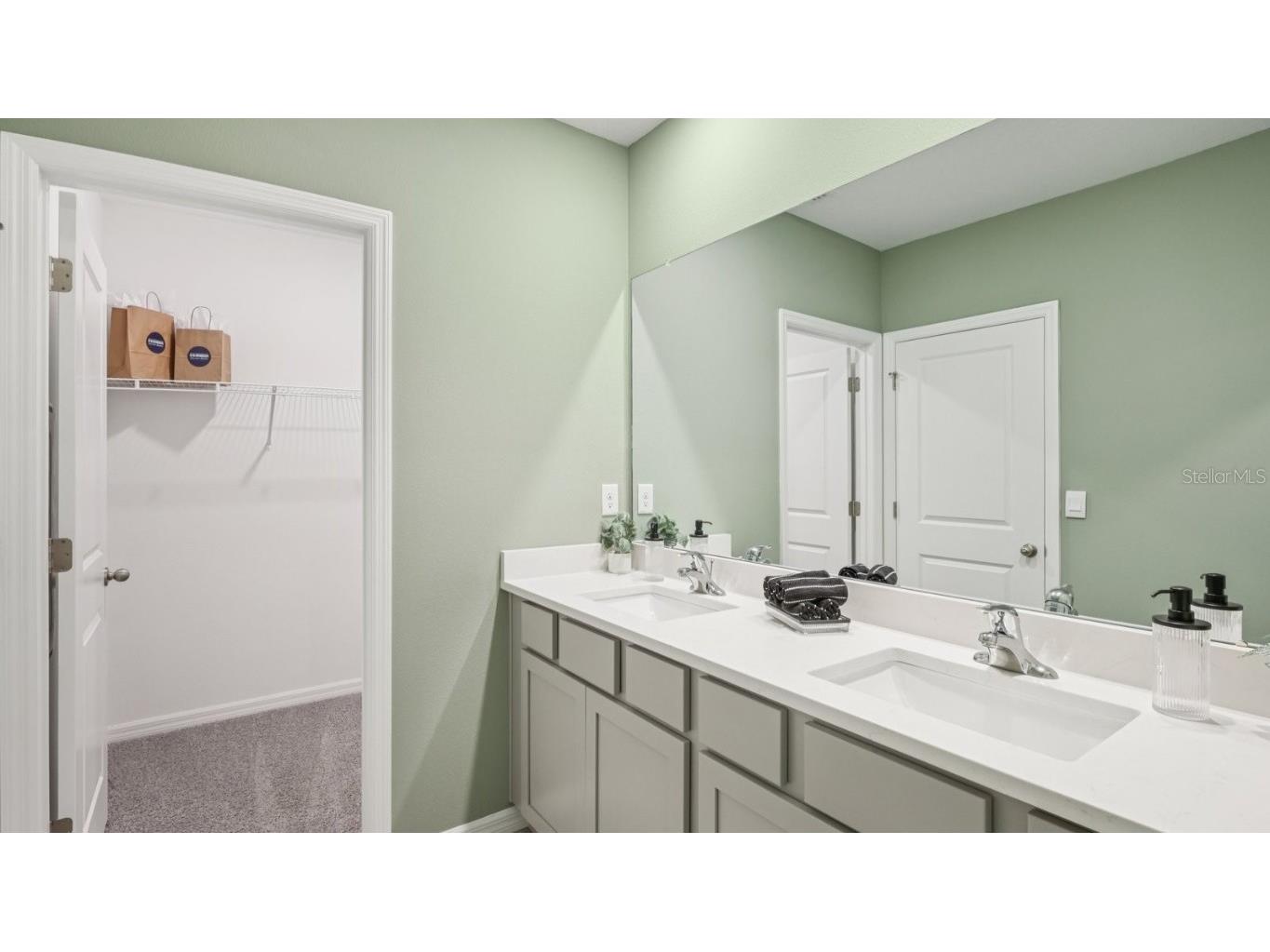 32529 Welling Blade Loop Wesley Chapel FL 33545 TB8453773 image22