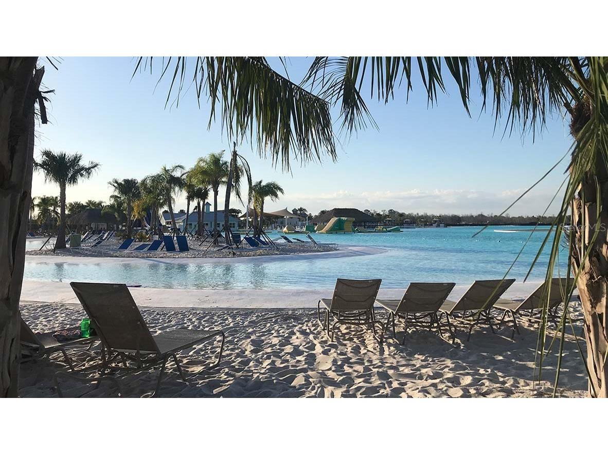 32529 Welling Blade Loop Wesley Chapel FL 33545 TB8453773 image37