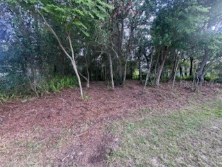 3253 Sardinia Terrace Deltona FL 32738 O6416197 image1