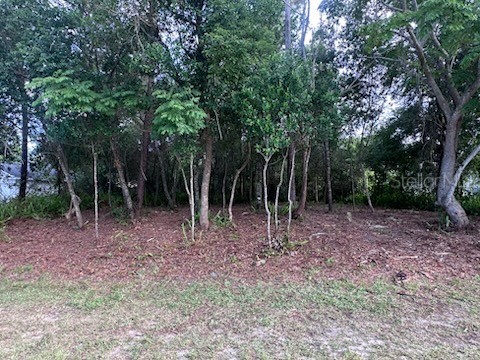 3253 Sardinia Terrace Deltona FL 32738 O6416197 image2