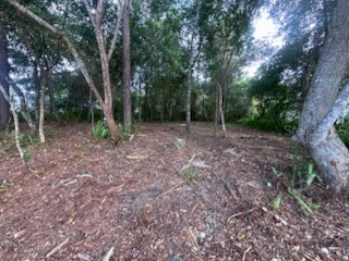 3253 Sardinia Terrace Deltona FL 32738 O6416197 image3
