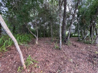 3253 Sardinia Terrace Deltona FL 32738 O6416197 image4