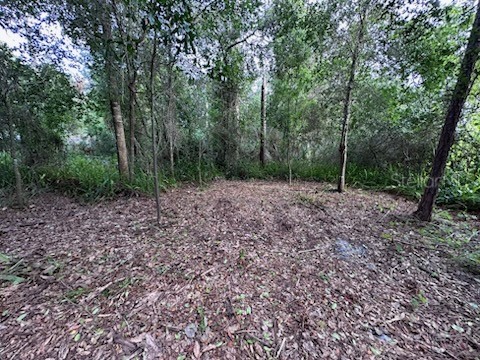 3253 Sardinia Terrace Deltona FL 32738 O6416197 image5