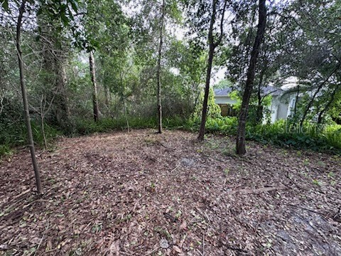 3253 Sardinia Terrace Deltona FL 32738 O6416197 image6