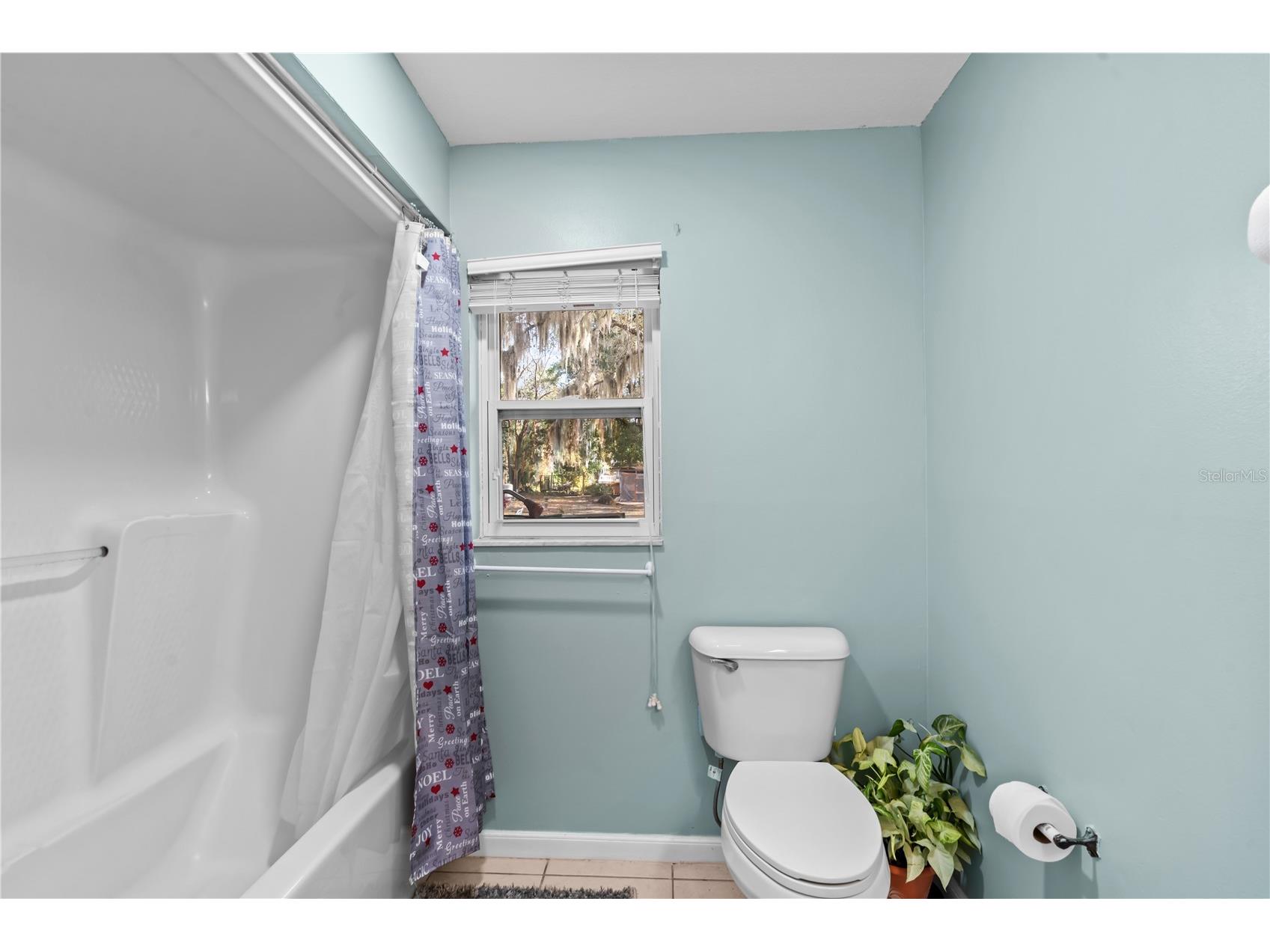 32530 Purdum Avenue Leesburg FL 34788 S5143008 image13