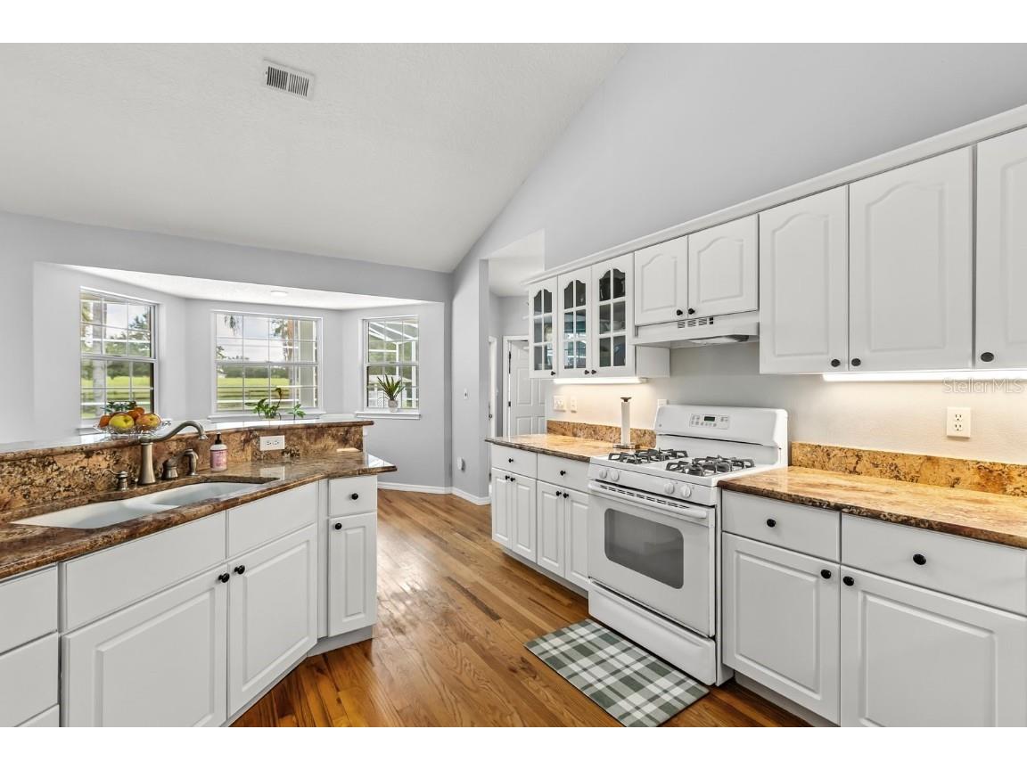 32530 Senese Road Sorrento FL 32776 O6337478 image15