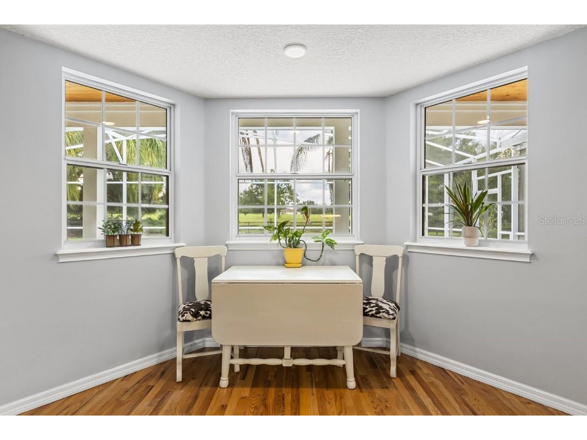 32530 Senese Road Sorrento FL 32776 O6337478 image17