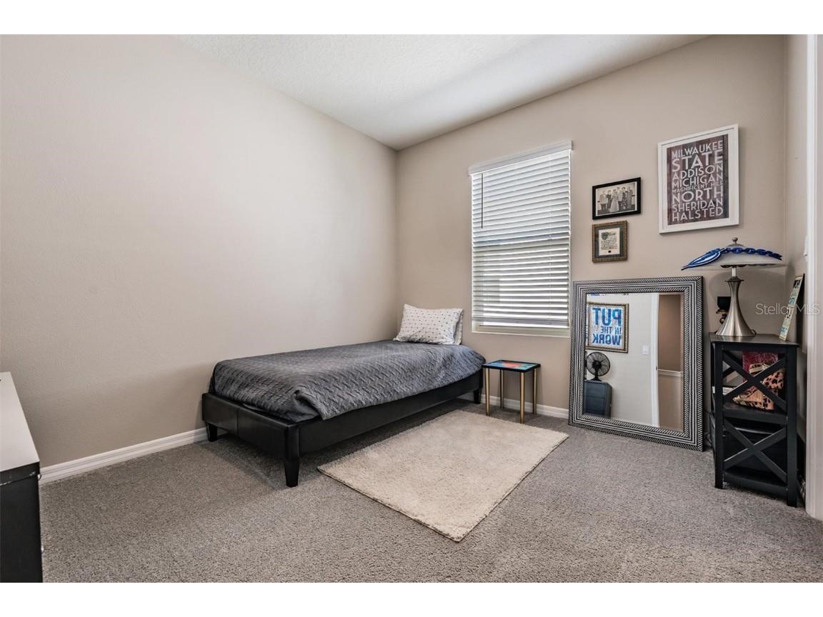 32534 Turtle Grace Loop Wesley Chapel FL 33545 TB8437983 image18