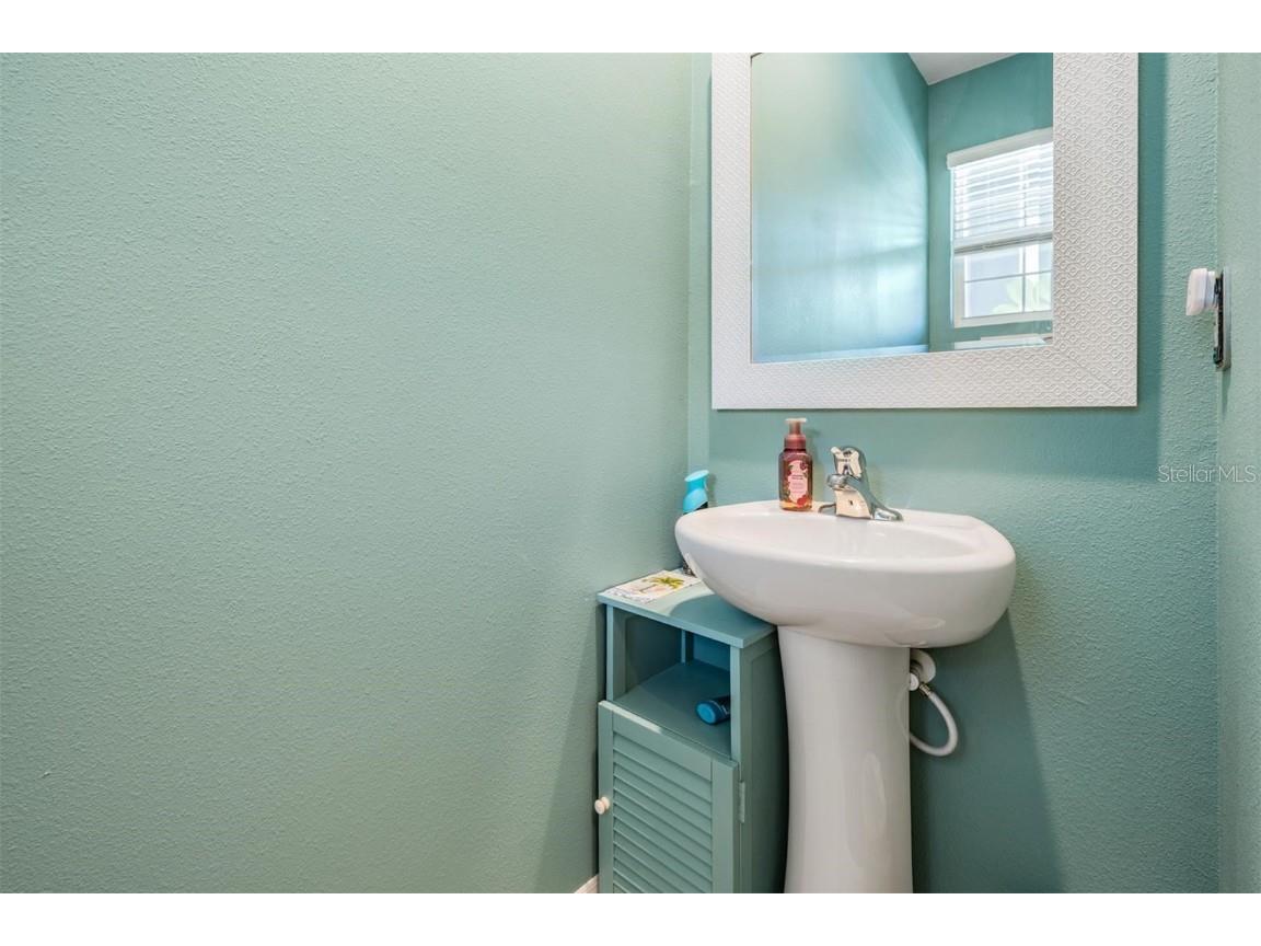 32534 Turtle Grace Loop Wesley Chapel FL 33545 TB8437983 image19