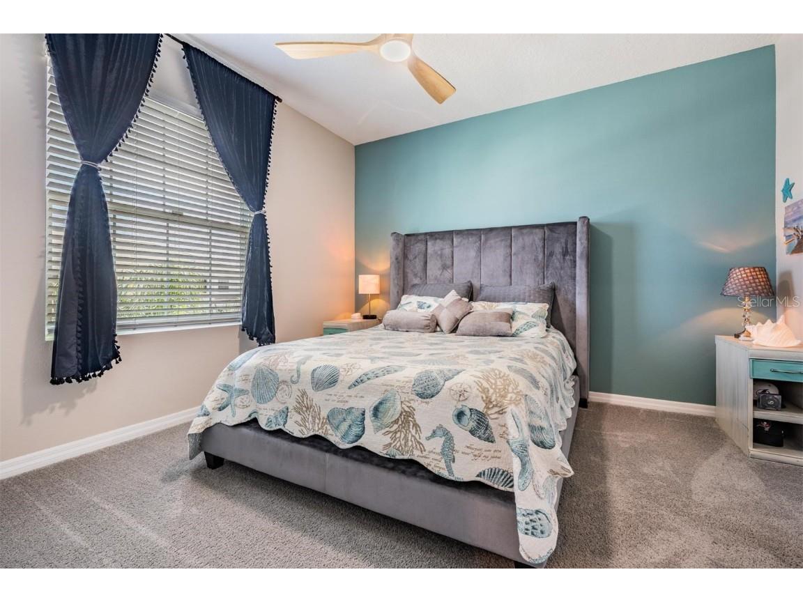 32534 Turtle Grace Loop Wesley Chapel FL 33545 TB8437983 image20