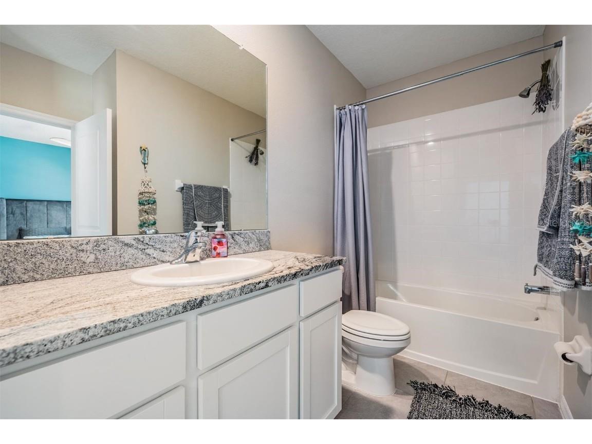 32534 Turtle Grace Loop Wesley Chapel FL 33545 TB8437983 image21