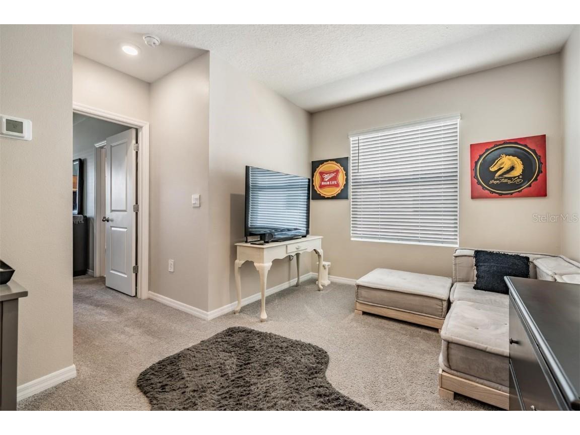 32534 Turtle Grace Loop Wesley Chapel FL 33545 TB8437983 image23