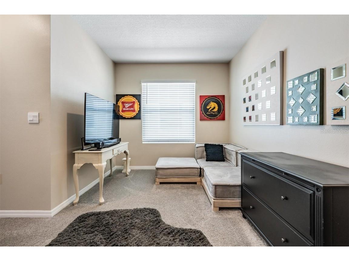 32534 Turtle Grace Loop Wesley Chapel FL 33545 TB8437983 image24