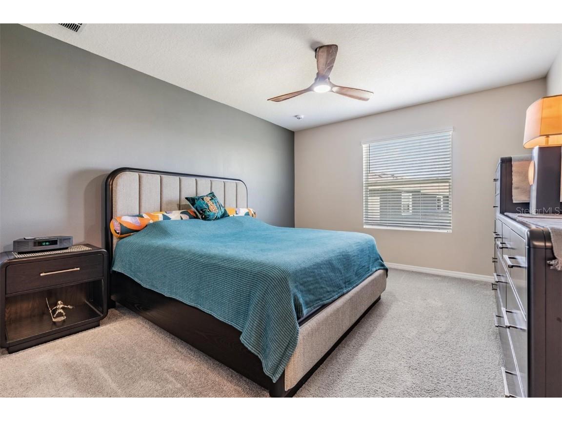 32534 Turtle Grace Loop Wesley Chapel FL 33545 TB8437983 image25