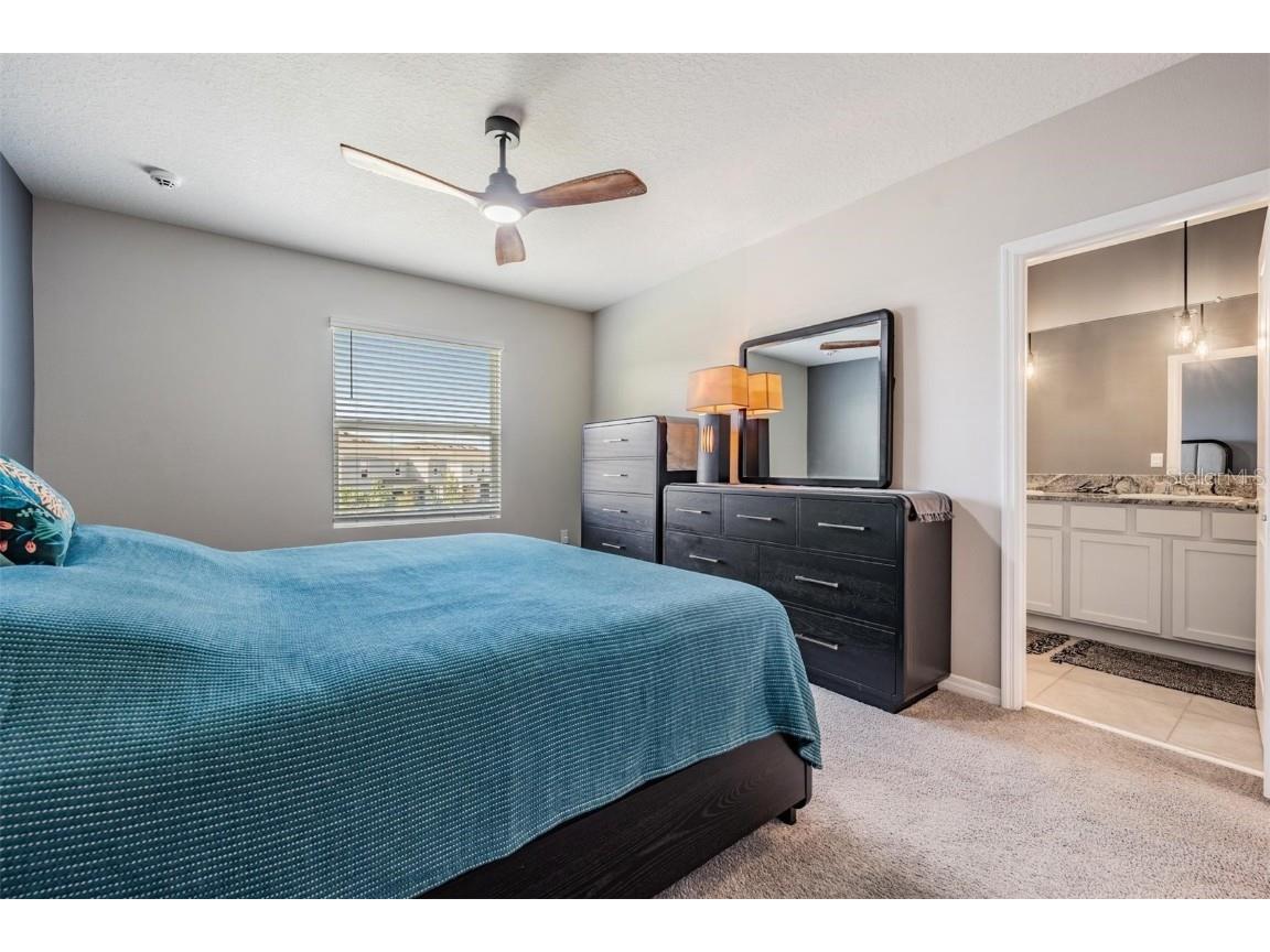 32534 Turtle Grace Loop Wesley Chapel FL 33545 TB8437983 image26