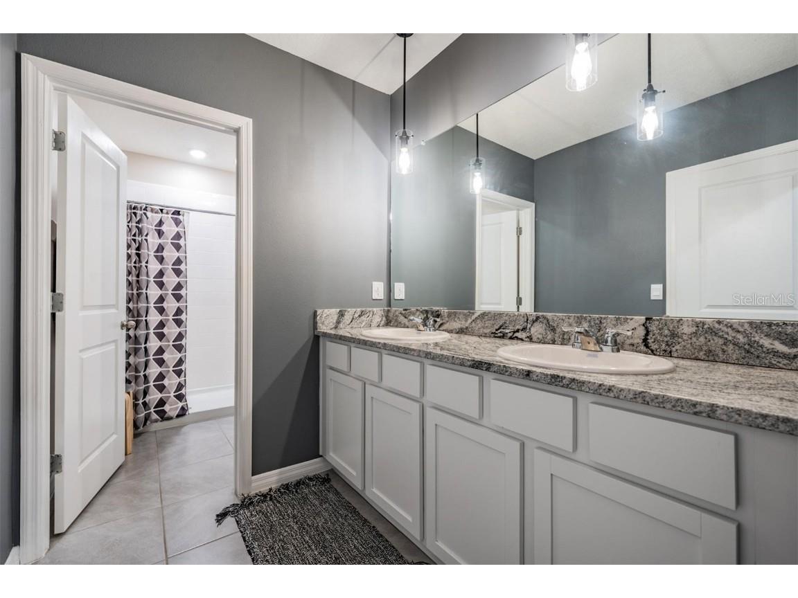 32534 Turtle Grace Loop Wesley Chapel FL 33545 TB8437983 image27