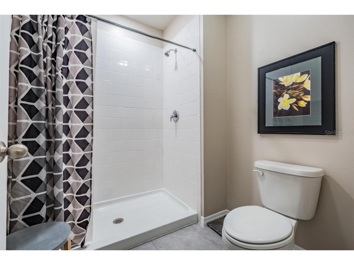 32534 Turtle Grace Loop Wesley Chapel FL 33545 TB8437983 image28