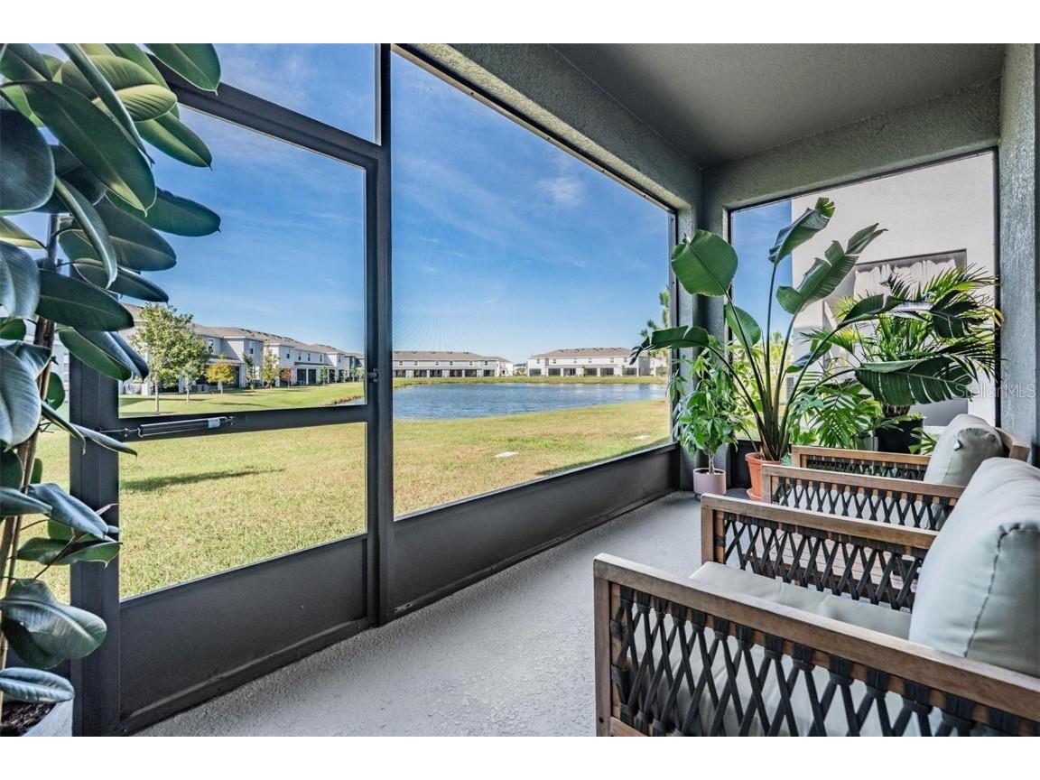 32534 Turtle Grace Loop Wesley Chapel FL 33545 TB8437983 image29