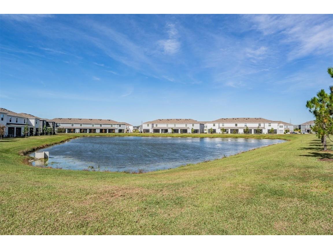 32534 Turtle Grace Loop Wesley Chapel FL 33545 TB8437983 image32