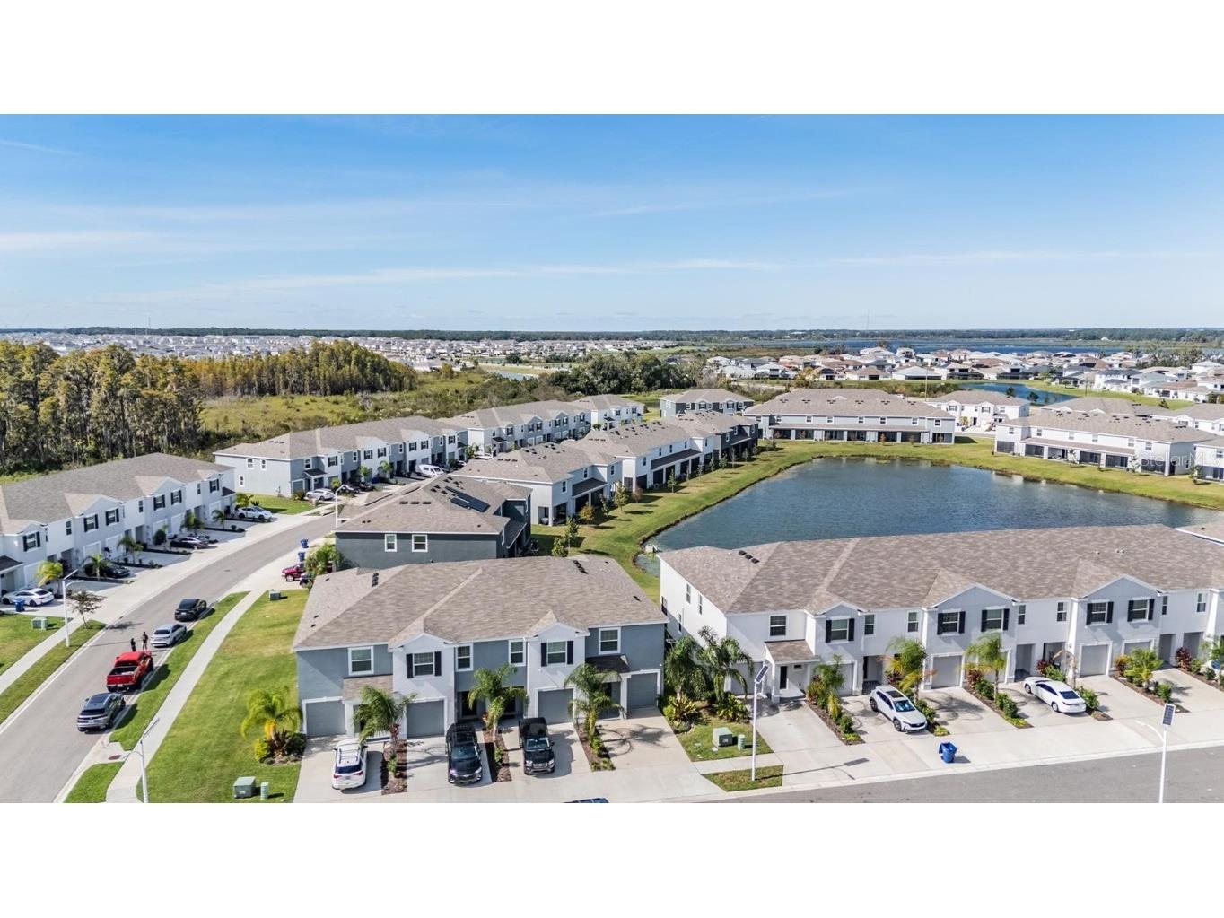 32534 Turtle Grace Loop Wesley Chapel FL 33545 TB8437983 image35