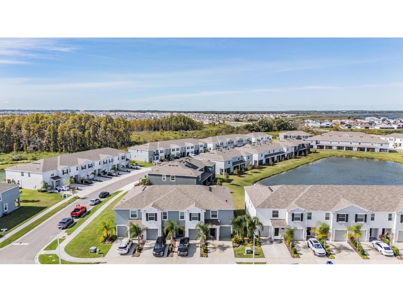 32534 Turtle Grace Loop Wesley Chapel FL 33545 TB8437983 image36