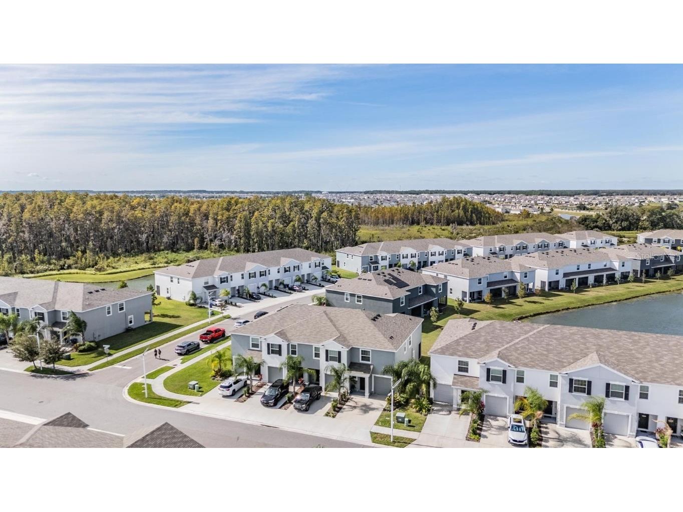 32534 Turtle Grace Loop Wesley Chapel FL 33545 TB8437983 image37