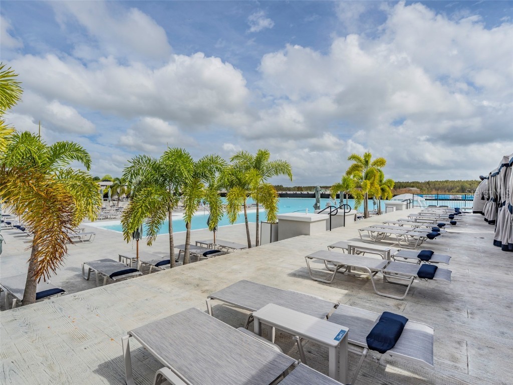 32534 Turtle Grace Loop Wesley Chapel FL 33545 TB8437983 image51