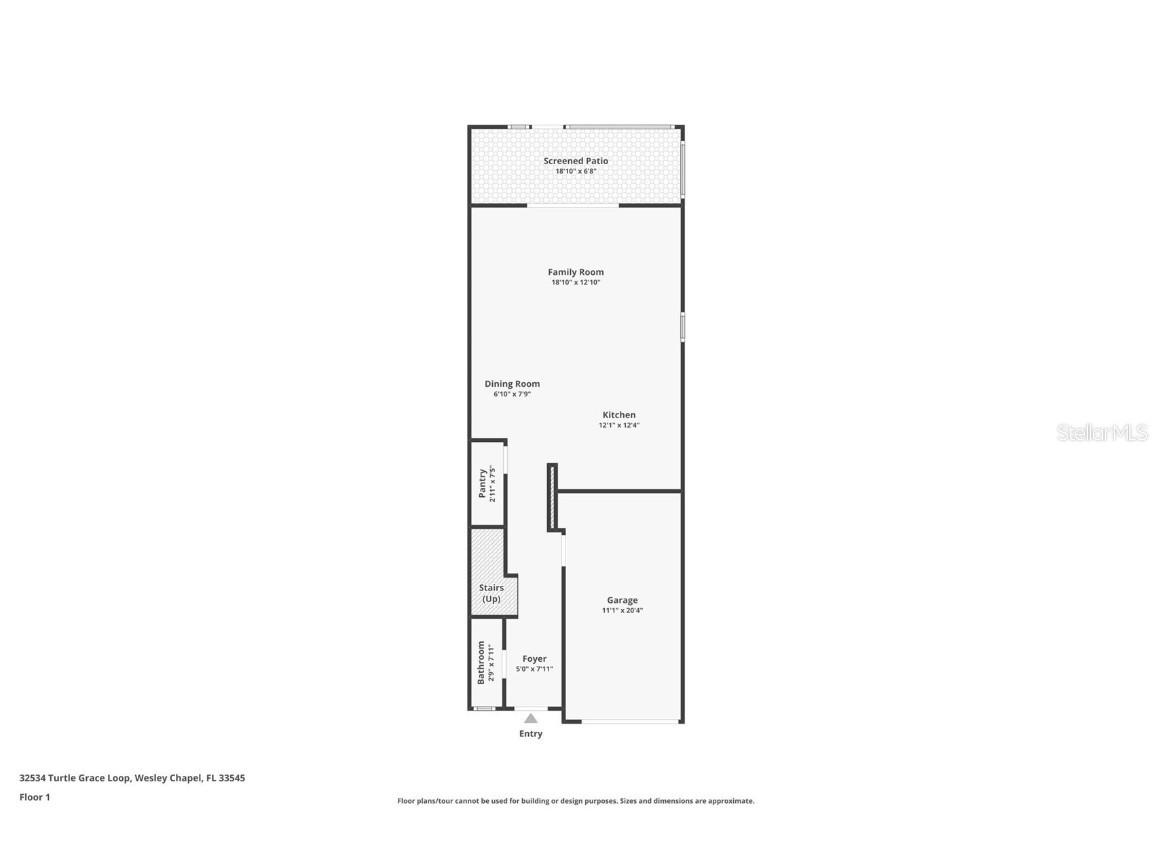 32534 Turtle Grace Loop Wesley Chapel FL 33545 TB8437983 image52