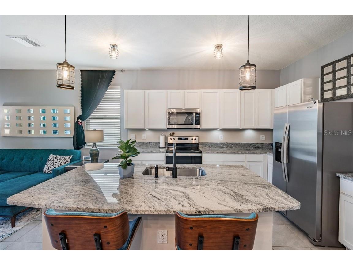 32534 Turtle Grace Loop Wesley Chapel FL 33545 TB8437983 image6