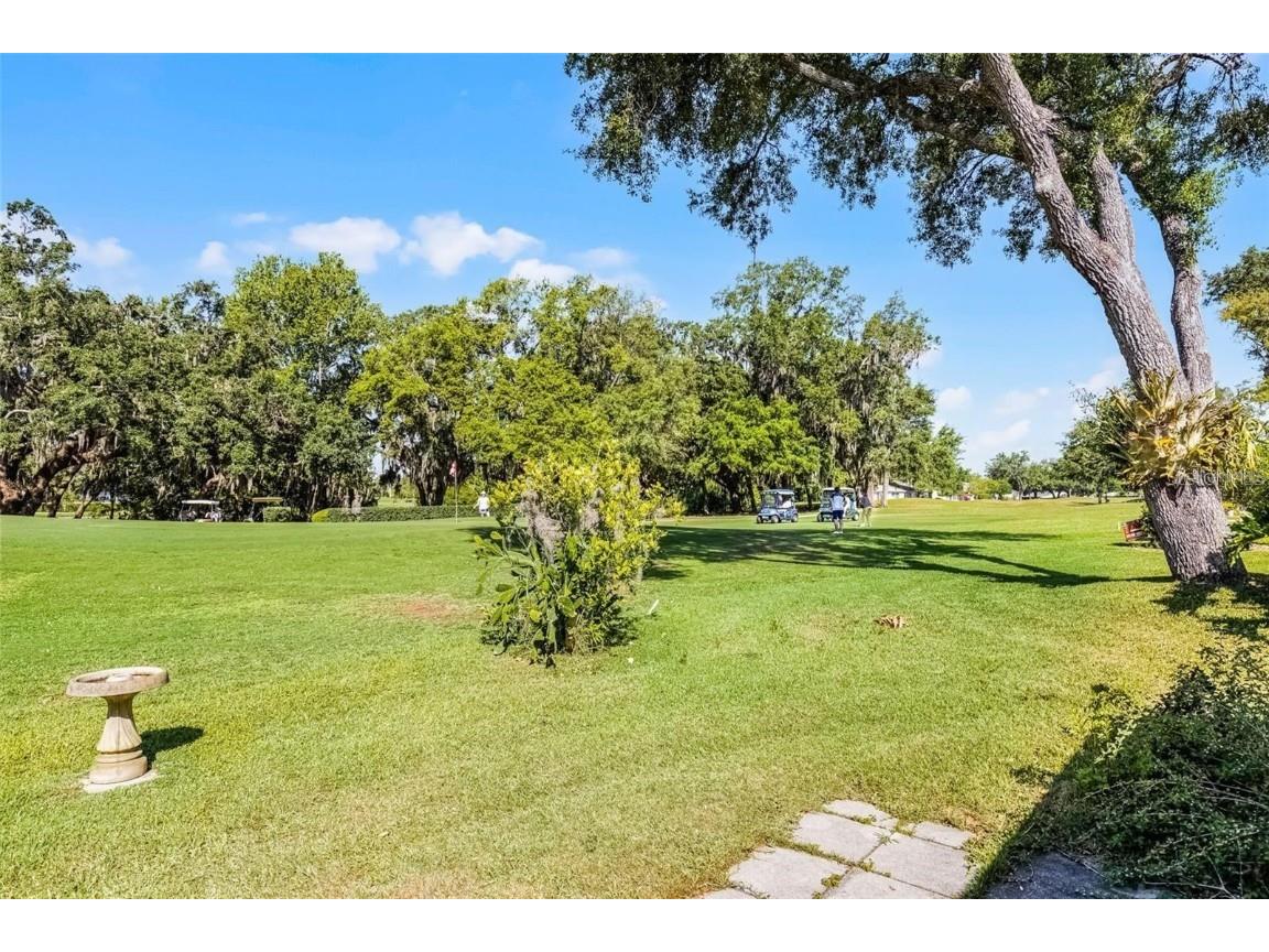 32537 Oak Park Drive Leesburg FL 34748 S5138556 image6