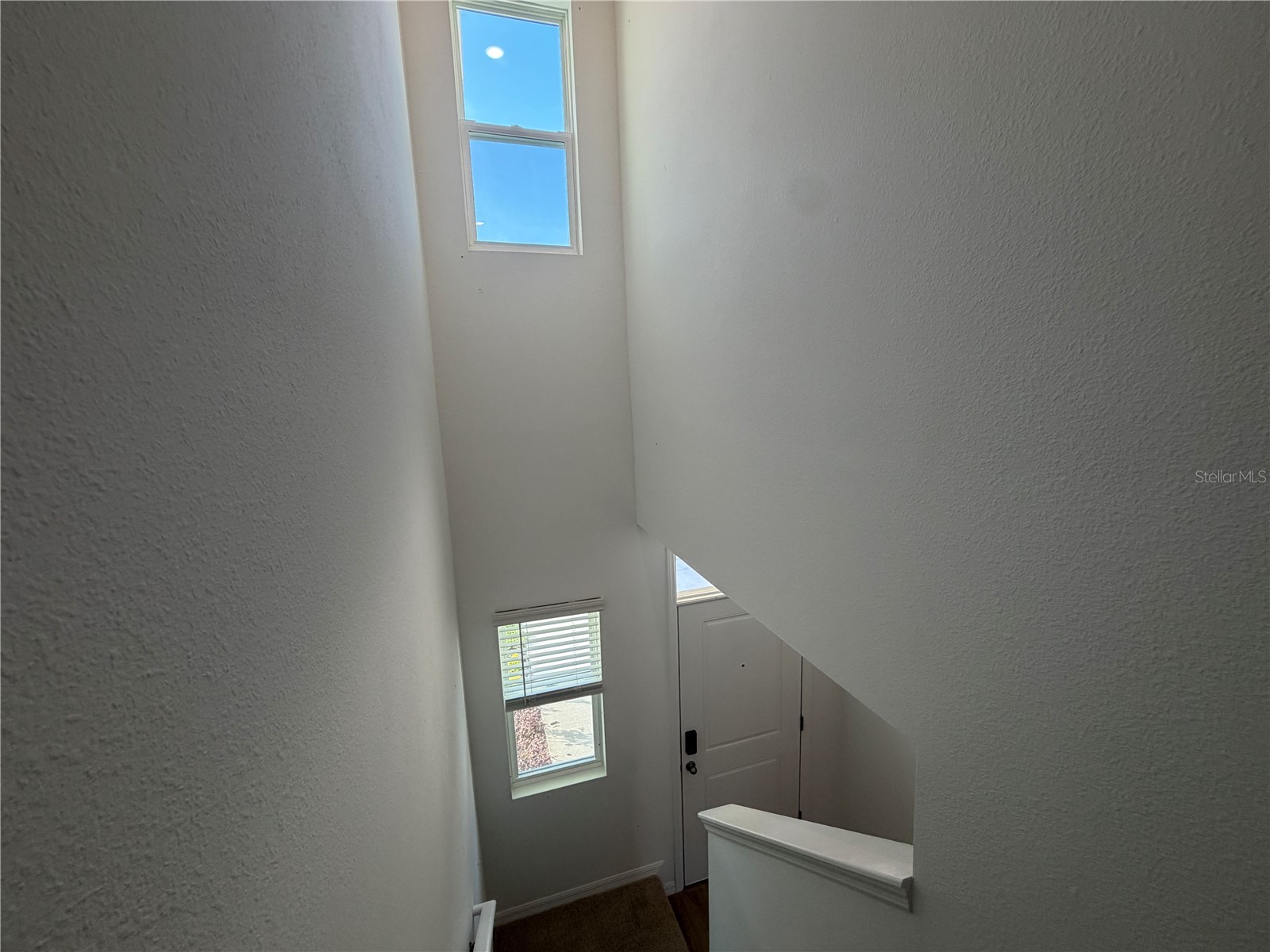 32538 Midsummer Night Lane Wesley Chapel FL 33543 TB8507630 image14