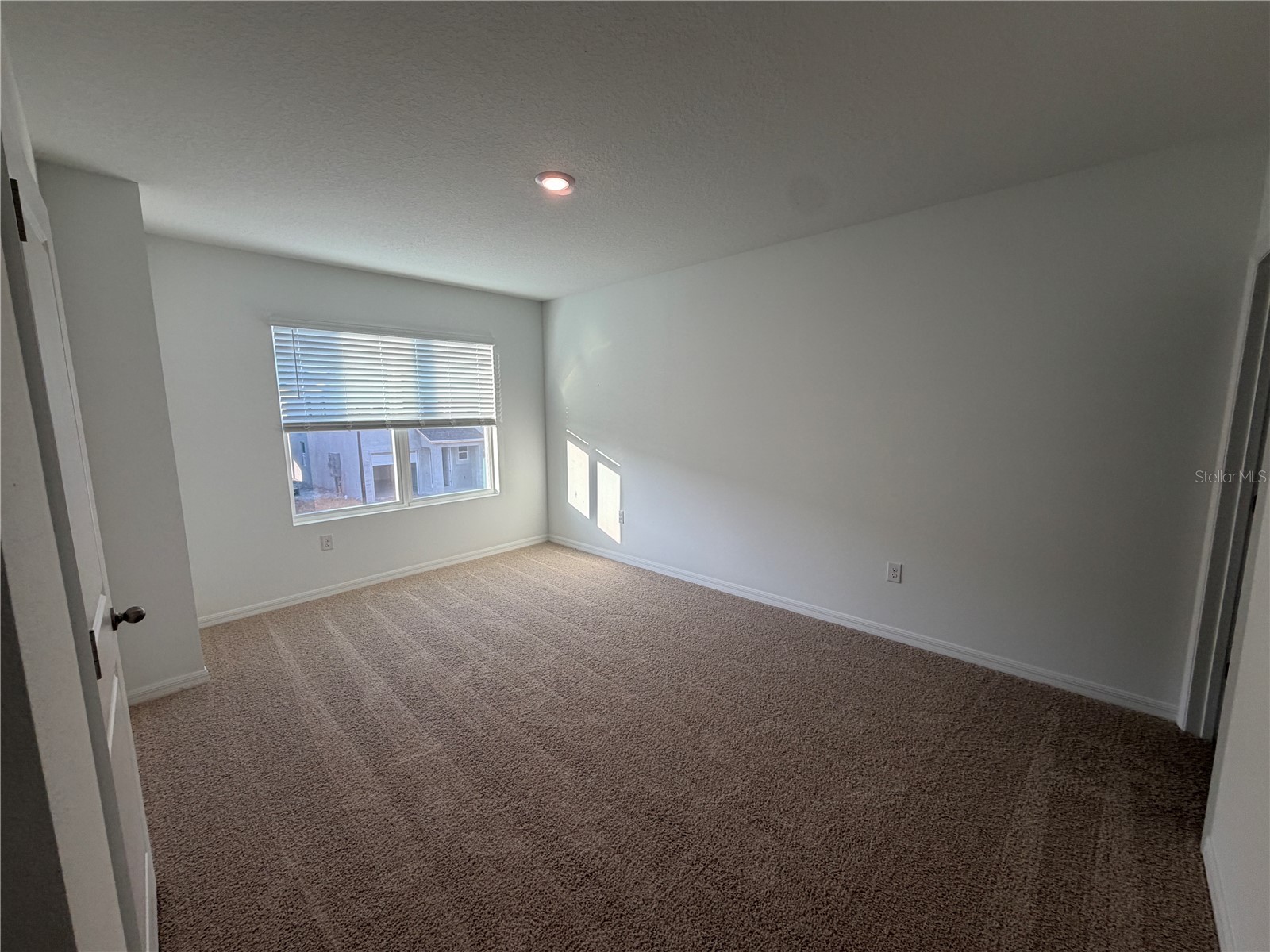 32538 Midsummer Night Lane Wesley Chapel FL 33543 TB8507630 image16