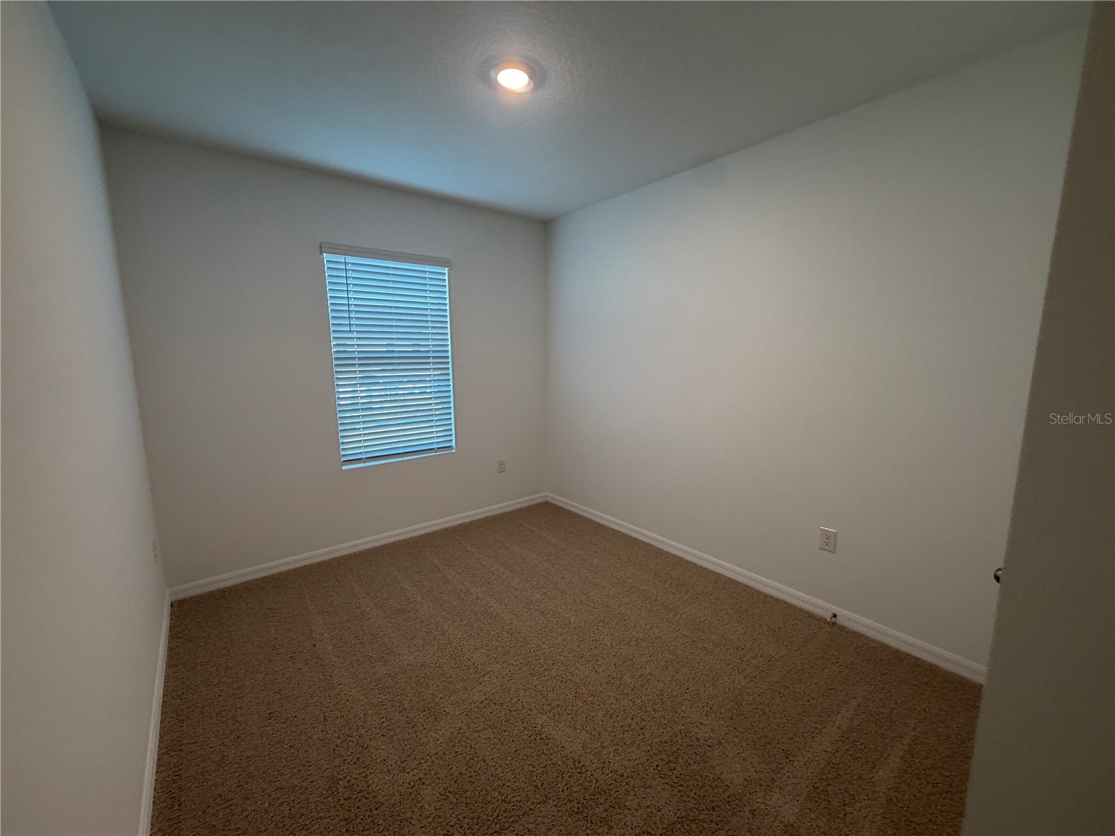 32538 Midsummer Night Lane Wesley Chapel FL 33543 TB8507630 image20