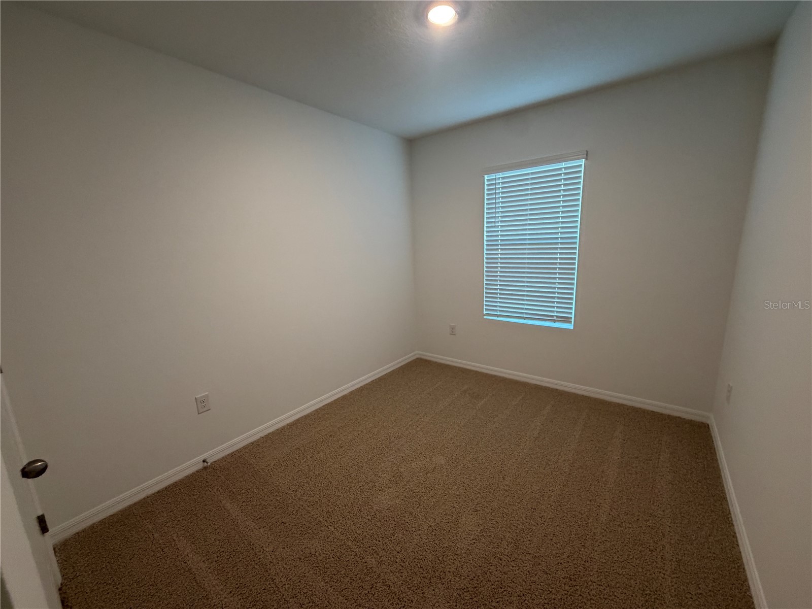 32538 Midsummer Night Lane Wesley Chapel FL 33543 TB8507630 image21