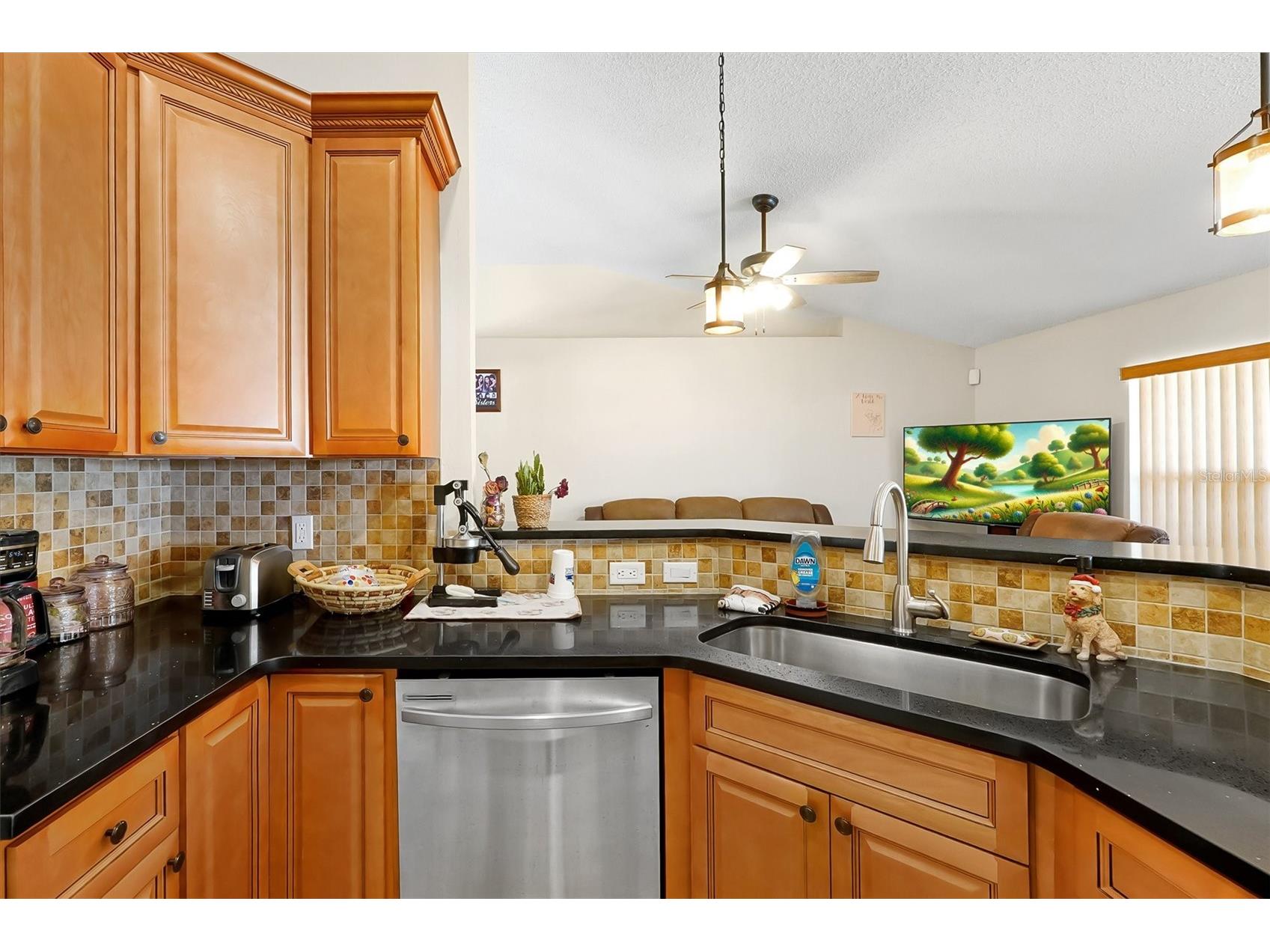 3254 Agar Terrace Deltona FL 32738 O6395023 image12