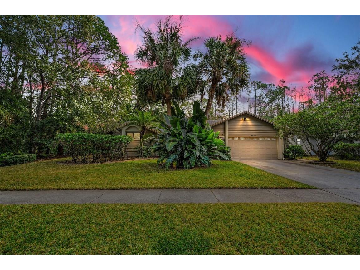 3254 Centerwood Drive Tarpon Springs FL 34688 TB8333507 image1