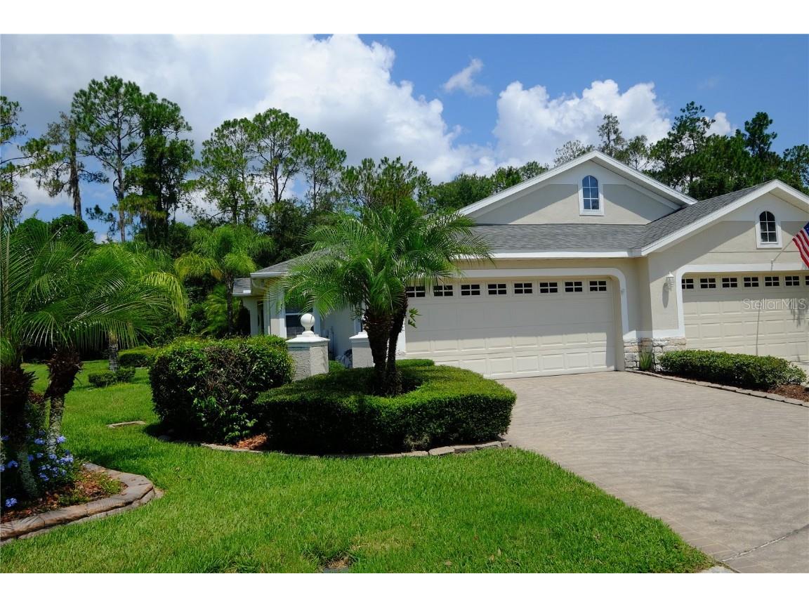 3254 Chapel Creek Circle Wesley Chapel FL 33544 T3455215 image1