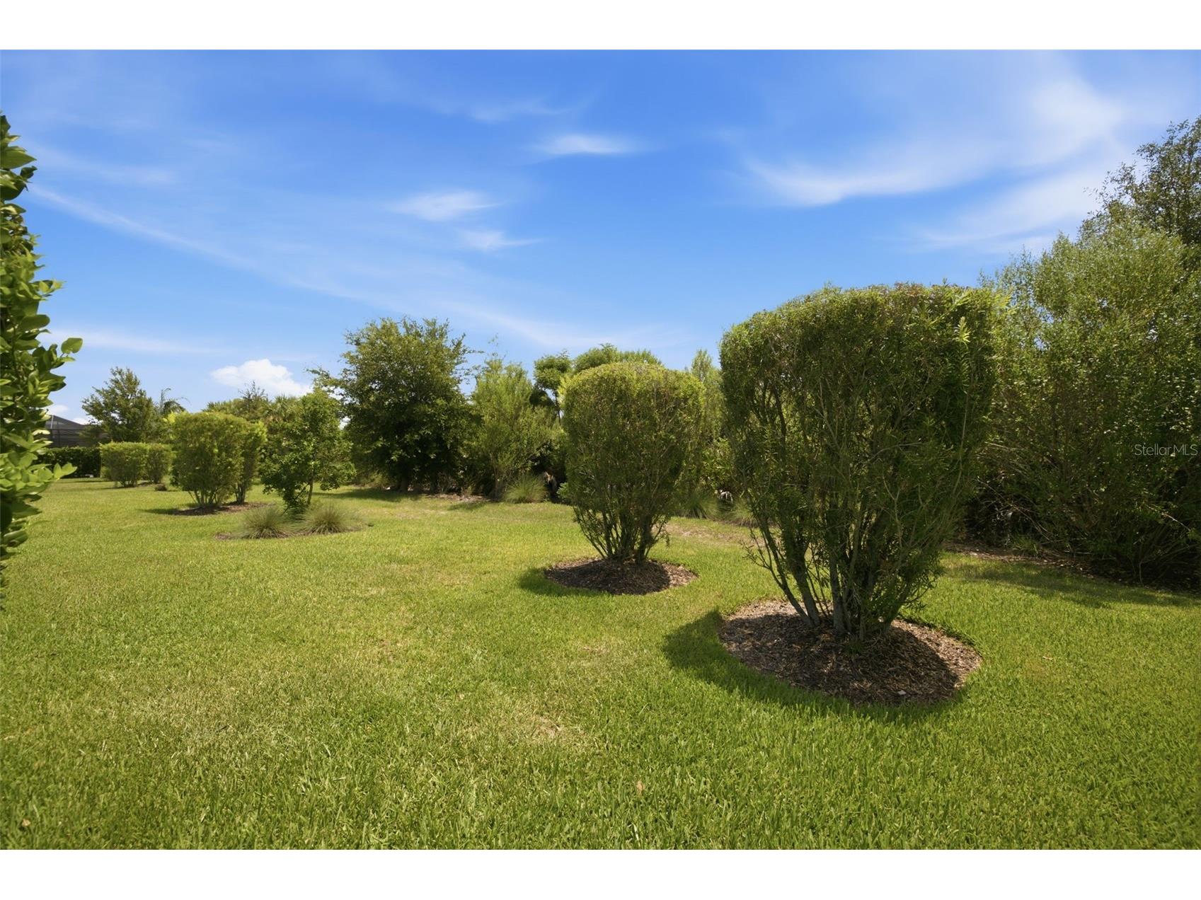 3254 Francoa Drive Odessa FL 33556 TB8518351 image38