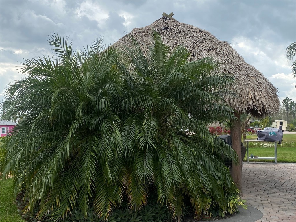 3254 Red Tail Hawk Drive Polk City FL 33868 T3504605 image29