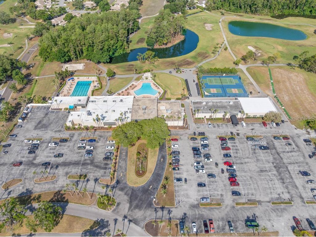 3254 Teeside Drive #2304 New Port Richey FL 34655 TB8504055 image33
