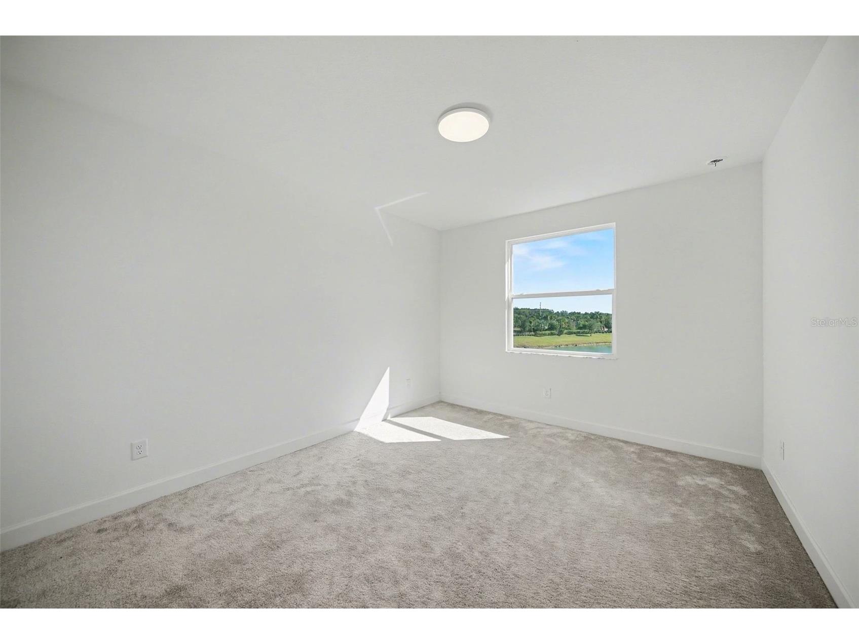 3254 Woodland Brook Way Wesley Chapel FL 33543 TB8464530 image26