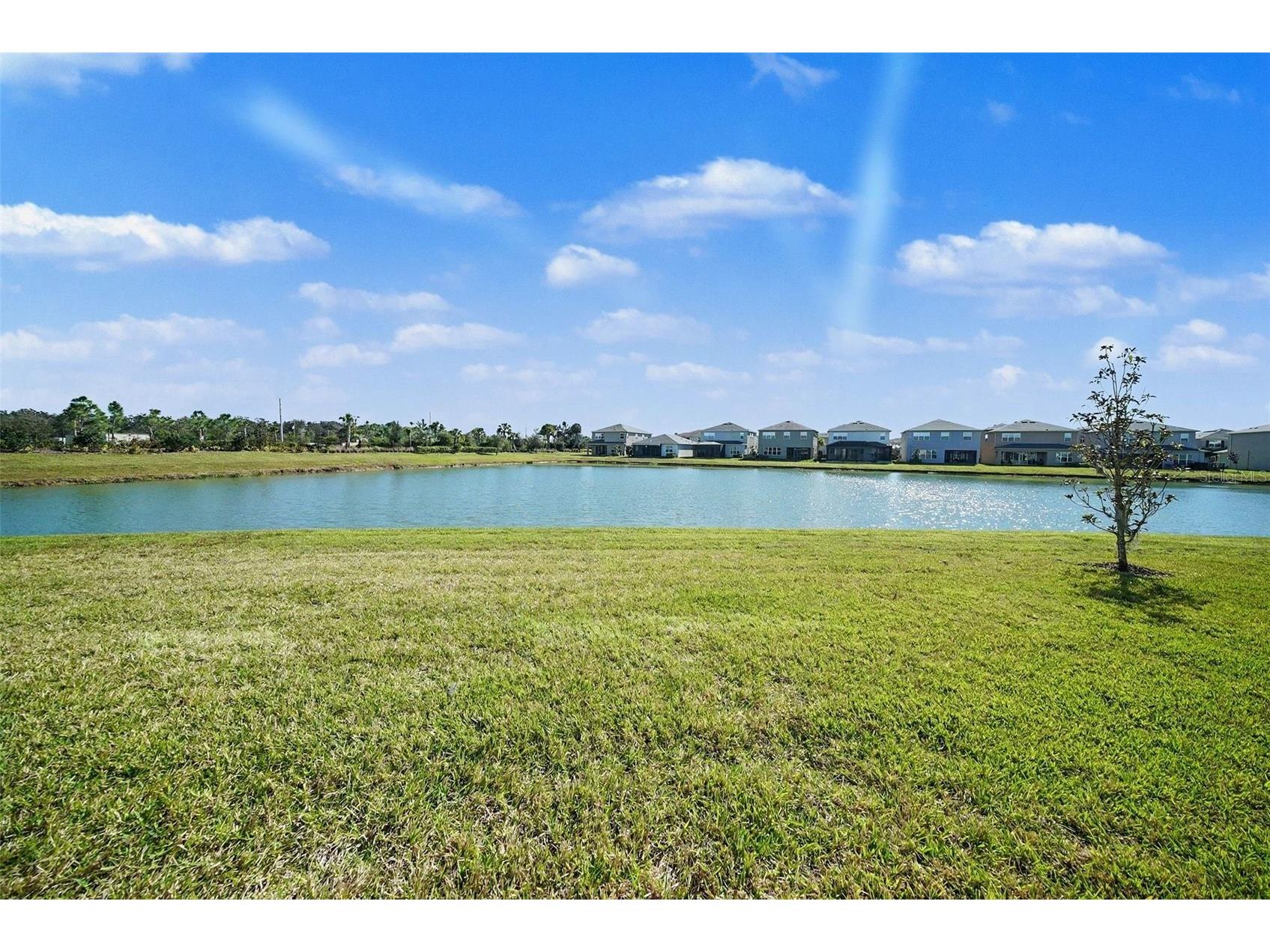 3254 Woodland Brook Way Wesley Chapel FL 33543 TB8464530 image4